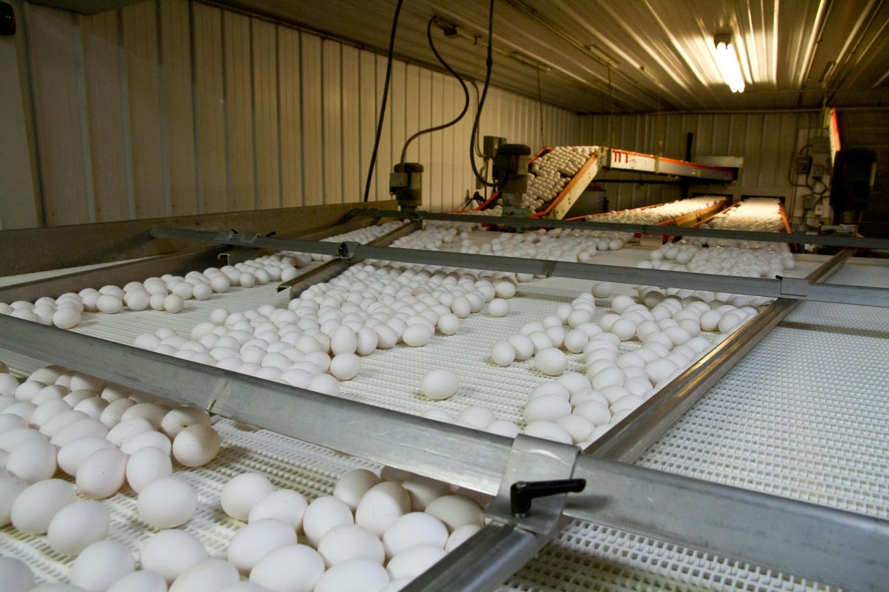 Is Your Packaging Process Aligned with GMP Requirements
